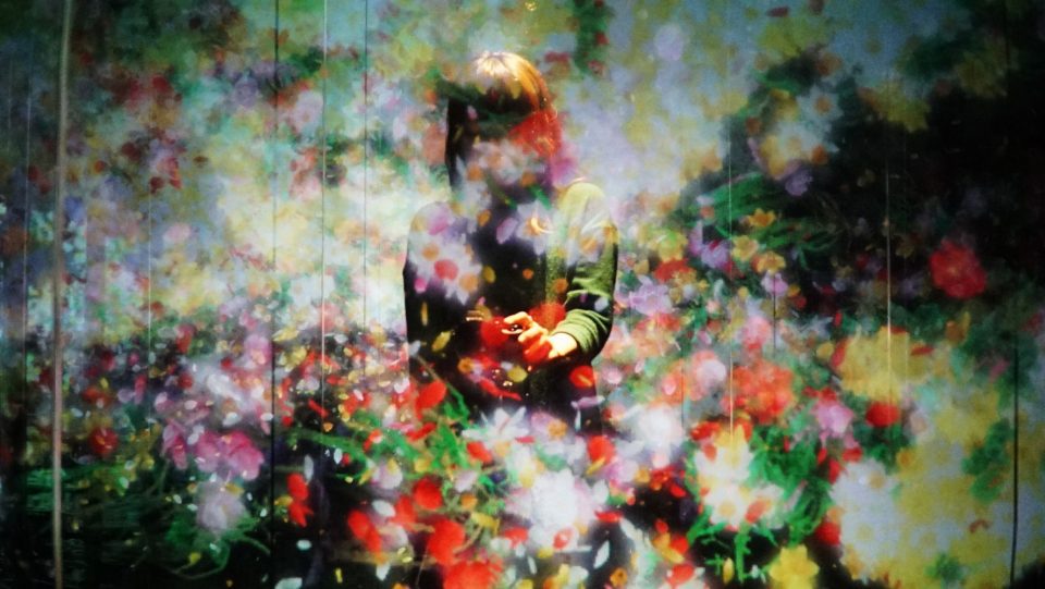 TeamLab, Flowers and People, Cannot be Controlled but Live Together – Kunisaki Peninsula, 2014