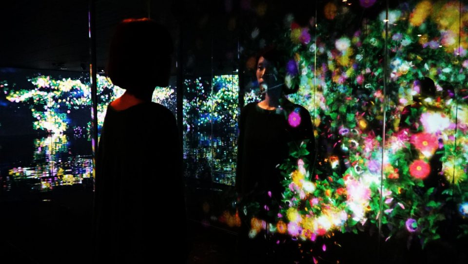 TeamLab, Flowers and People, Cannot be Controlled but Live Together – Kunisaki Peninsula, 2014